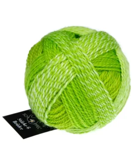 Stärke 6 Brüder <br>2697 Kurt Georg