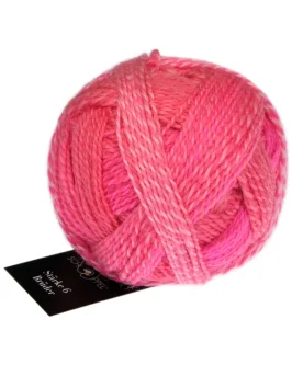 Stärke 6 Brüder <br>2701 Willy