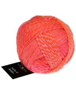 Stärke 6 Brüder <br>2705 Gerhard