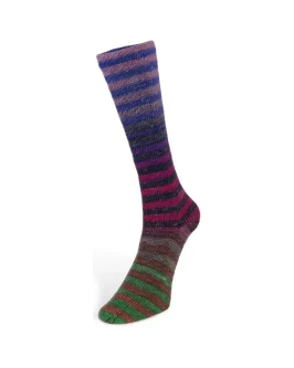 Paint Socks 6-Fach <br  />4&nbsp;Blau/<wbr>Pink/<wbr>Grün/<wbr>Anthrazit/<wbr>Braun