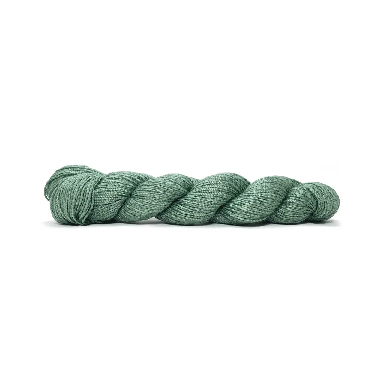 Pinta 130 Agave von Pascuali. Pinta ist ein ideales Ganzjahresgarn das dank seiner einzigartigen Faserzusammenstellung (bestehend aus 60% Merino 20% Seide und 20% Ramie) eine herausragende Vielseitigkeit bietet. Diese sorgfältig gewählte Mischung vereint die wärmeregulierenden Eigenschaften von Merino die luxuriöse Weichheit von Seide und die strapazierfähige Leichtigkeit von Ramie. Es ist ein echtes Allroundtalent aus dem sich die verschiedensten Kleidungsstücke Accessoires und Socken stricken lassen.