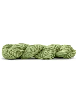 Sayama <br/>328 Pistachio