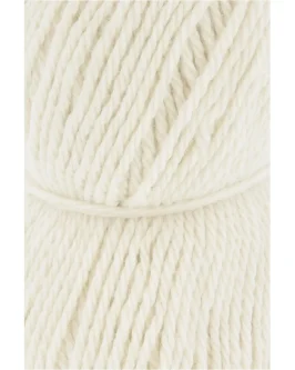 <span class="yarn-title">Donegal Woolen Spun</span> <span class="yarn-color">1 Weiss</span>
