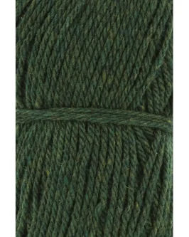 <span class="yarn-title">Donegal Woolen Spun</span> <span class="yarn-color">17 Grün</span>