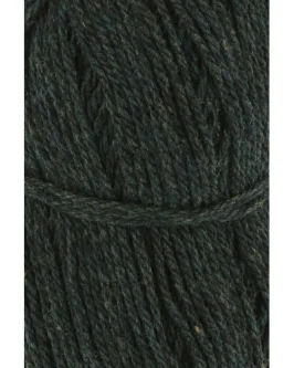 <span class="yarn-title">Donegal Woolen Spun</span> <span class="yarn-color">18 Dunkelgrün</span>
