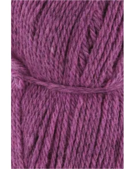 <span class="yarn-title">Donegal Woolen Spun</span> <span class="yarn-color">66 Beere</span>