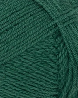 Sunday <br>7772&nbsp;Rain Forest