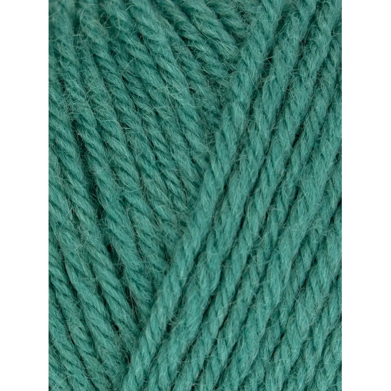 Morris DK 1279 Clover von West Yorkshire Spinners. Ein hochwertiges vielseitiges DK-Garn das britische Spinnkunst mit zeitloser Eleganz verbindet. Durch seine ausgewogene Struktur lässt sich Morris wunderbar gleichmäßig verstricken und eignet sich ideal für Pullover Cardigans Westen Accessoires oder leichte Winterprojekte. Das Garn hält warm bleibt formstabil und entwickelt mit der Zeit eine schöne natürliche Patina.