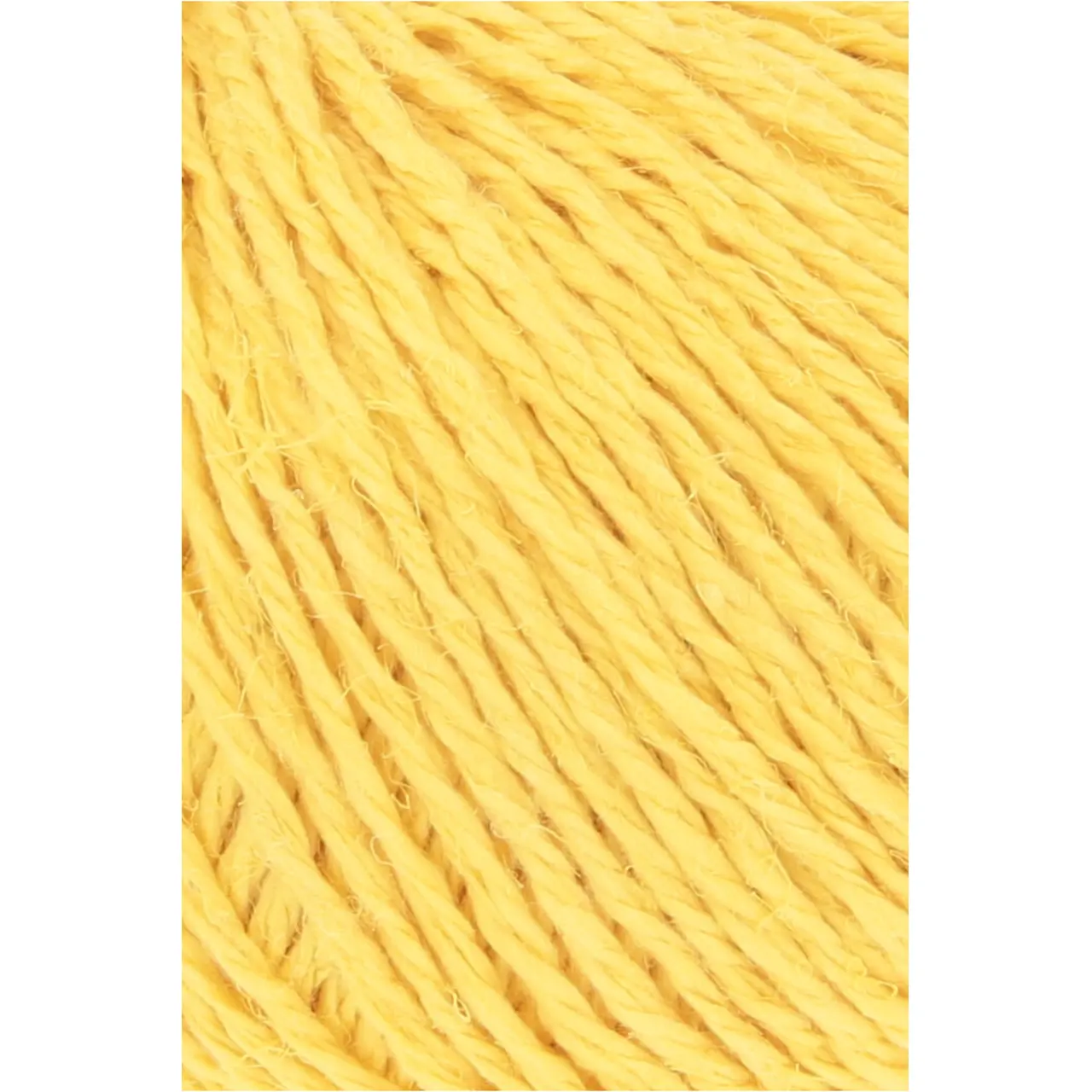 Ananas+ 14 Gelb von Lang Yarns. ANANAS+ ist die dickere Variante unseres Garns aus Ananasfasern. Es eignet sich perfekt für Wohnaccessoires und dekorative Projekte die eine gute Formstabilität erfordern.