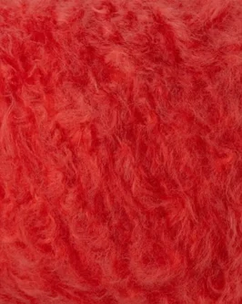 Plume <br  />7&nbsp;Rot