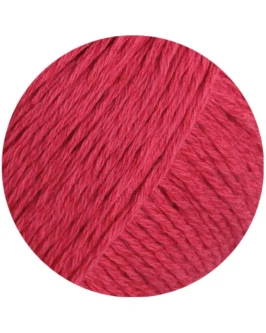 Campo <br />38&nbsp;Flamingorot