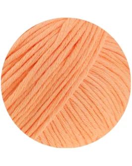 <span class="yarn-title">Natural Cotton GOTS</span> <span class="yarn-color">23 Apricot</span>