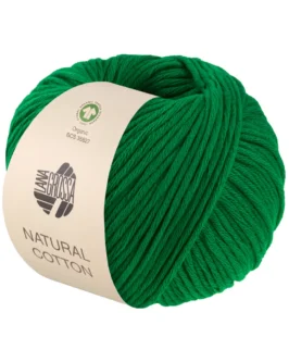 <span class="yarn-title">Natural Cotton GOTS</span> <span class="yarn-color">26 Smaragd</span>