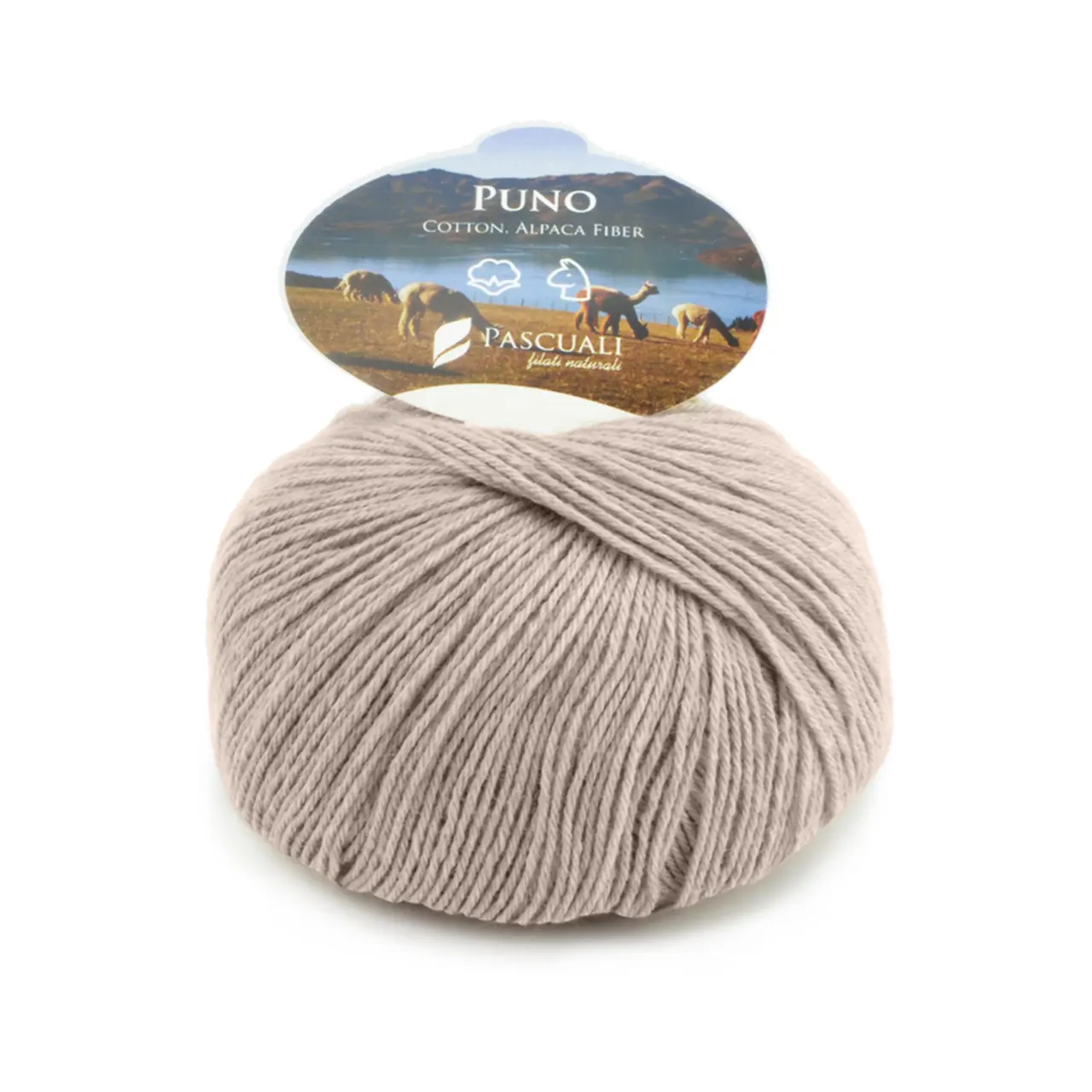 Puno 24 Waldkiefer von Pascuali. Eine traumhaft weiche Mischung aus Baumwolle und Alpakawolle. Das Garn eignet sich perfekt für leichte Oberteile und ebenso gut für Accessoires wie Schals oder Tücher. Puno ist angenehm weich und kann auch direkt auf der Haut getragen werden.