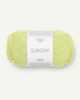 Sunday <br>9523&nbsp;Lime Punch