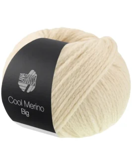 <span class="yarn-title">Cool Merino Big</span> <span class="yarn-color">241 Muschel</span>