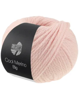 <span class="yarn-title">Cool Merino Big</span> <span class="yarn-color">242 Pastellrosa</span>