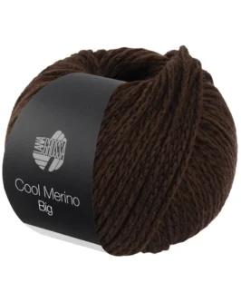 <span class="yarn-title">Cool Merino Big</span> <span class="yarn-color">244 Mokka</span>