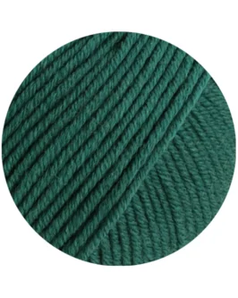 <span class="yarn-title">Cool Wool Big Mélange</span> <span class="yarn-color">1705 Dunkelgrün Meliert</span>
