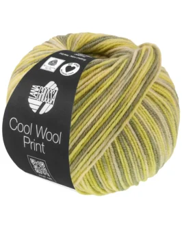 <span class="yarn-title">Cool Wool Print</span> <span class="yarn-color">843 Grünbeige/<wbr>Limette/<wbr>Grau-/<wbr>Resedagrün</span>