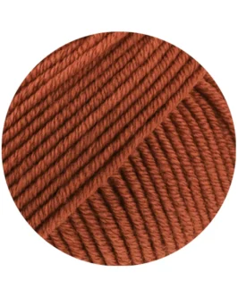 <span class="yarn-title">Merino Piú</span> <span class="yarn-color">20 Rostorange</span>