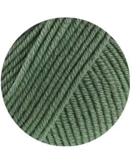 <span class="yarn-title">Merino Piú</span> <span class="yarn-color">4 Oleandergrün</span>