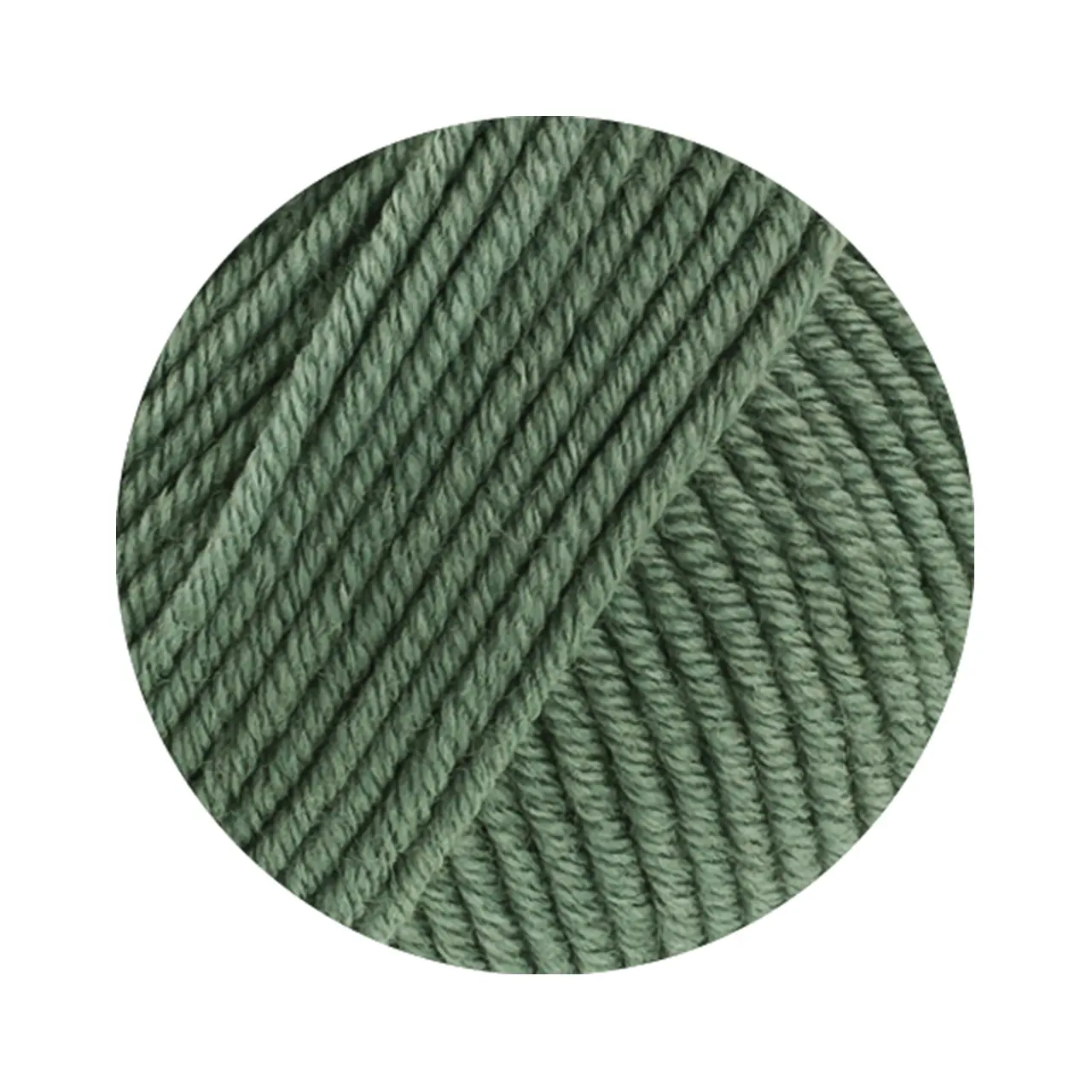 Merino Piú 4 Oleandergrün von Lana Grossa. Pure superfeine Merinowolle waschmaschinenfest und filzfrei mit 100m Lauflänge