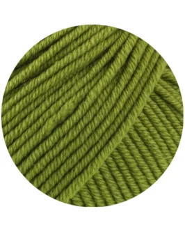 <span class="yarn-title">Merino Piú</span> <span class="yarn-color">6 Maigrün</span>