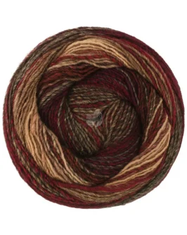 <span class="yarn-title">Gomitolo Modo</span> <span class="yarn-color">628 Schwarzrot/<wbr>Camel/<wbr>Schwarzbraun/<wbr>Anthrazit</span>