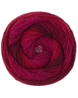 <span class="yarn-title">Gomitolo Versione</span> <span class="yarn-color">462 Schwarzrot/<wbr>Burgund/<wbr>Bordeaux</span>
