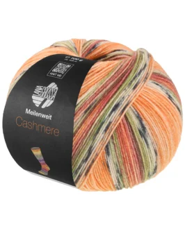 <span class="yarn-title">Meilenweit 100 Cashmere Pista</span> <span class="yarn-color">141 Orange/<wbr>Hell-/<wbr>Dunkelgrau/<wbr>Braunorange/<wbr>Hellgrün/<wbr>Erika/<wbr>Brombeer/<wbr>Graubraun Gestreift</span>