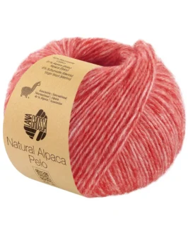 <span class="yarn-title">Natural Alpaca Pelo</span> <span class="yarn-color">38 Hellrot Meliert</span>