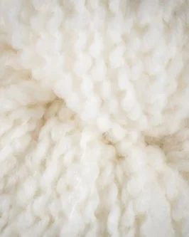 <span class="yarn-title">Texture Wool</span> <span class="yarn-color">1 Naturweiß</span>
