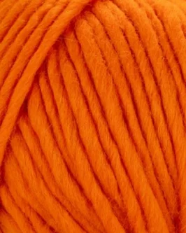 <span class="yarn-title">Young & Trendy Solid</span> <span class="yarn-color">107 Orange</span>
