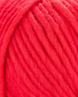 <span class="yarn-title">Young & Trendy Solid</span> <span class="yarn-color">211 Rot</span>