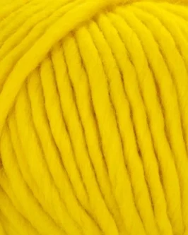 <span class="yarn-title">Young & Trendy Solid</span> <span class="yarn-color">300 Gelb</span>