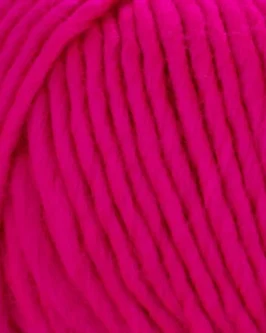 <span class="yarn-title">Young & Trendy Solid</span> <span class="yarn-color">304 Pink</span>