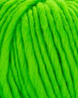 <span class="yarn-title">Young & Trendy Solid</span> <span class="yarn-color">305 Neongrün</span>