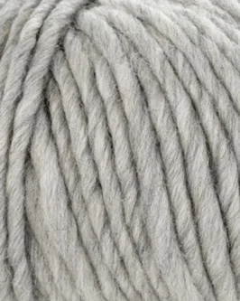 <span class="yarn-title">Young & Trendy Solid</span> <span class="yarn-color">G1 Hellgrau</span>