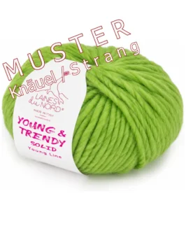 <span class="yarn-title">Young & Trendy Solid</span> <span class="yarn-color">M1 Beige</span>