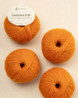 <span class="yarn-title">Cashmere 6/28</span> <span class="yarn-color">93 Rost</span>
