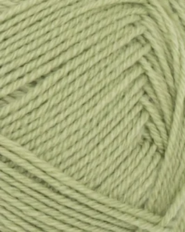 <span class="yarn-title">PetiteKnit Sunday</span> <span class="yarn-color">9533 Green Tea</span>