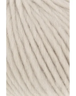 <span class="yarn-title">Naturalis</span> <span class="yarn-color">26 Beige</span>