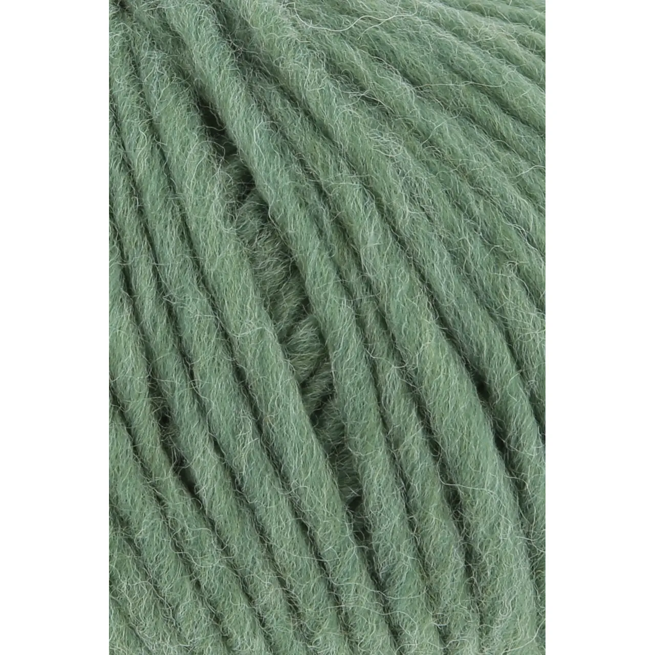 Naturalis 73 Smaragd von Lang Yarns. NATURALIS erzählt von der stillen Schönheit natürlicher Farben. In einem 100 % pflanzenbasierten Färbeprozess entfalten ausgewählte Kräuter Wurzeln und Rinden ihre feinen Nuancen und schenken dem Garn eine lebendige Tiefe. Jede Farbe ist ein Zusammenspiel aus Zeit Erfahrung und Natur - ruhig authentisch und einzigartig.