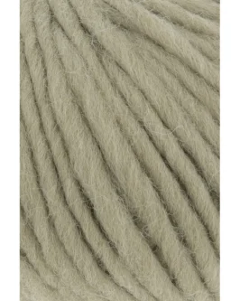 <span class="yarn-title">Naturalis</span> <span class="yarn-color">97 Olive</span>
