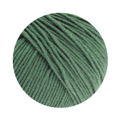 Cool Wool Uni 2021 dunkles Graugrün