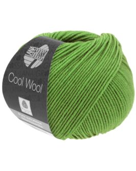 Cool Wool Uni <br>2088 Maigrün