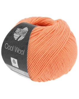 Cool Wool Uni <br>2095 Lachs