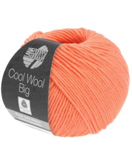 Cool Wool Big Uni <br/>993 Lachs