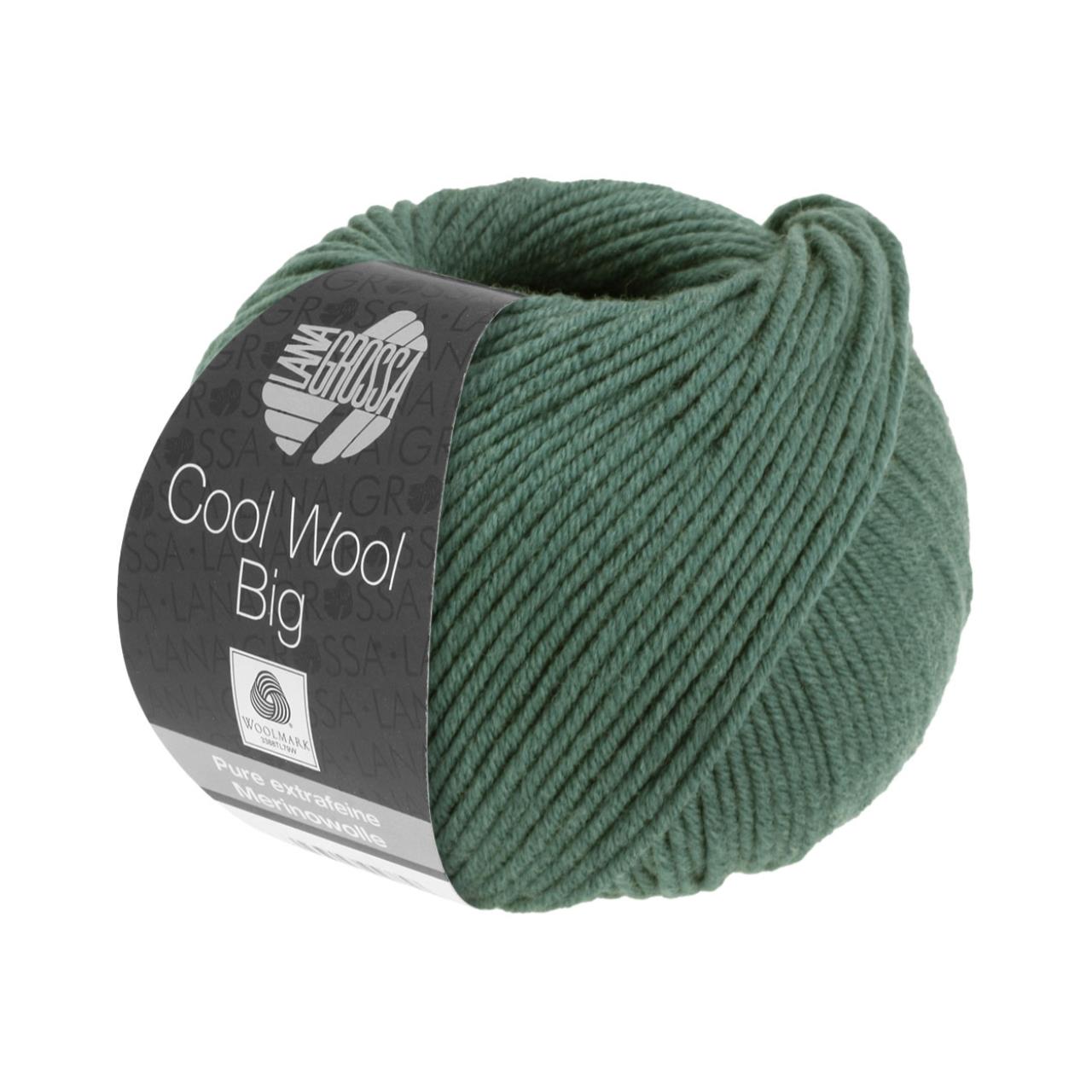 Cool Wool Big Uni <br>1004 Moosgrün